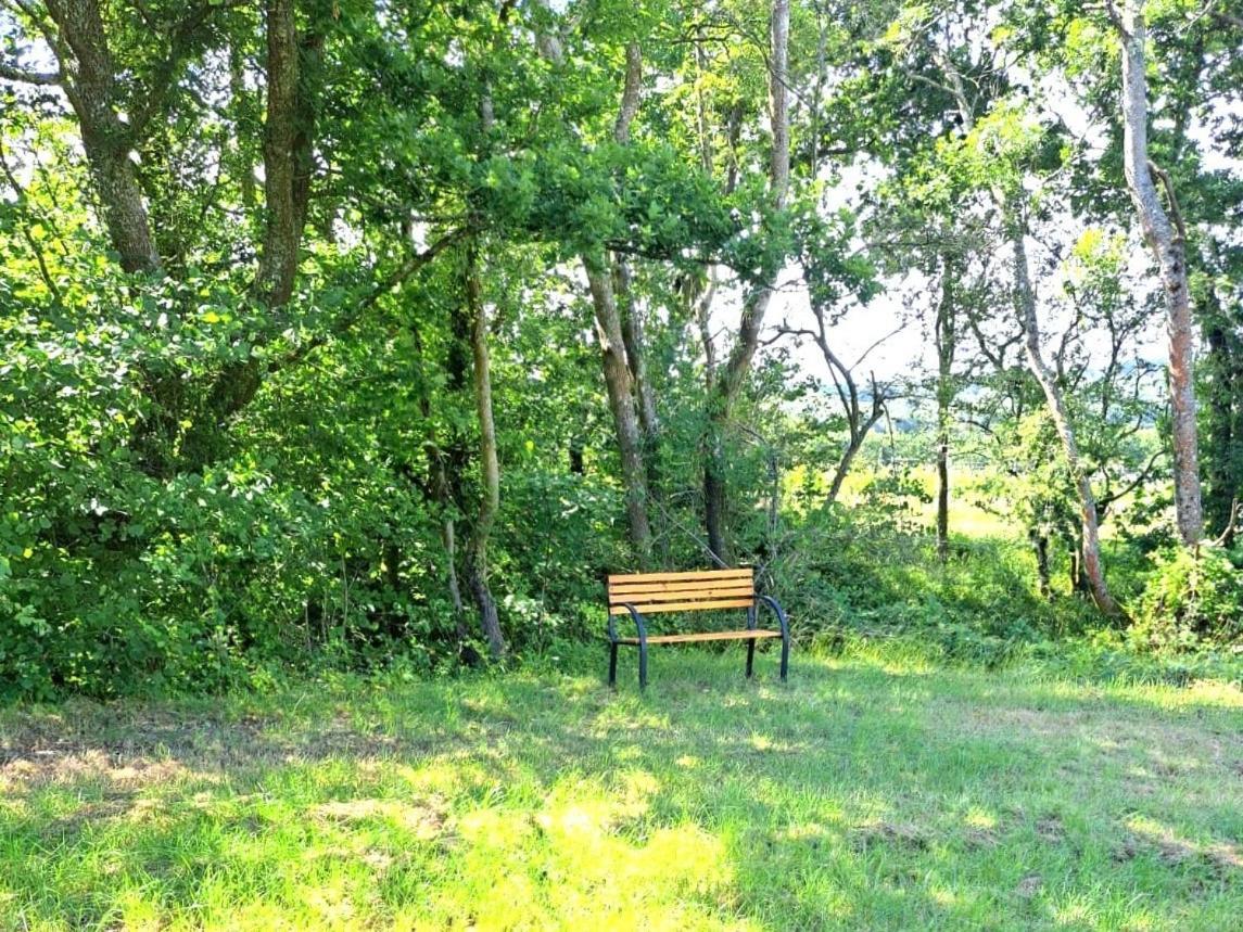 Snug & Secluded Lakeside Shepherds Hut 'carp' Uckfield
